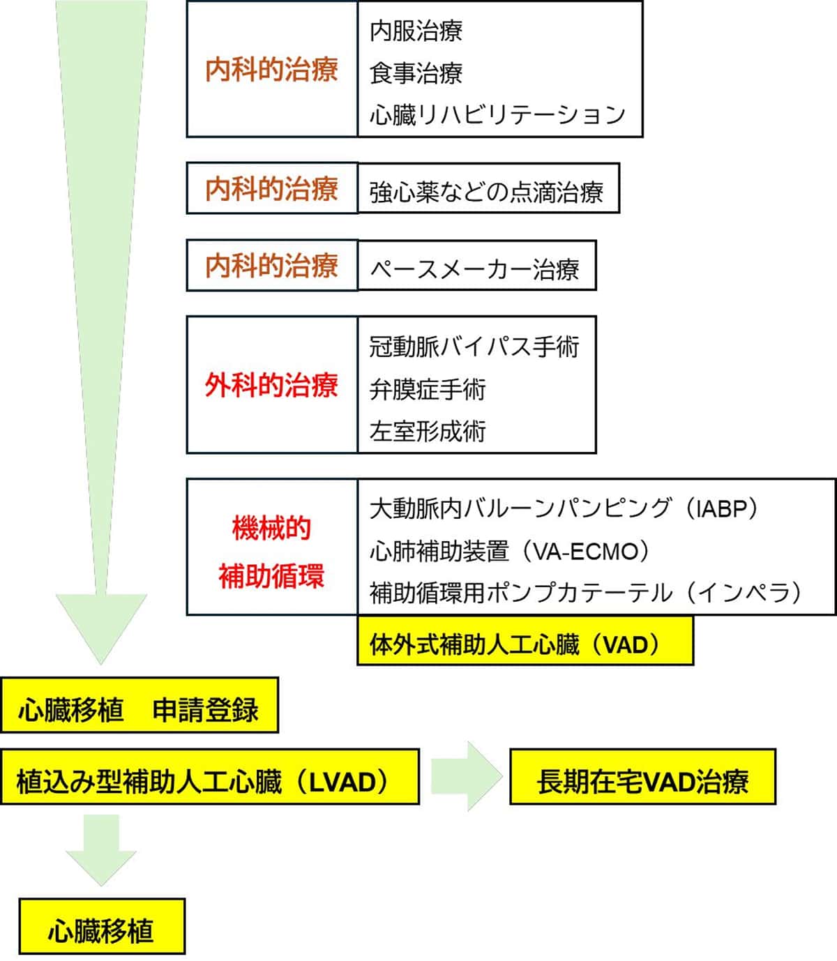 心不全治療の段階的フロー図